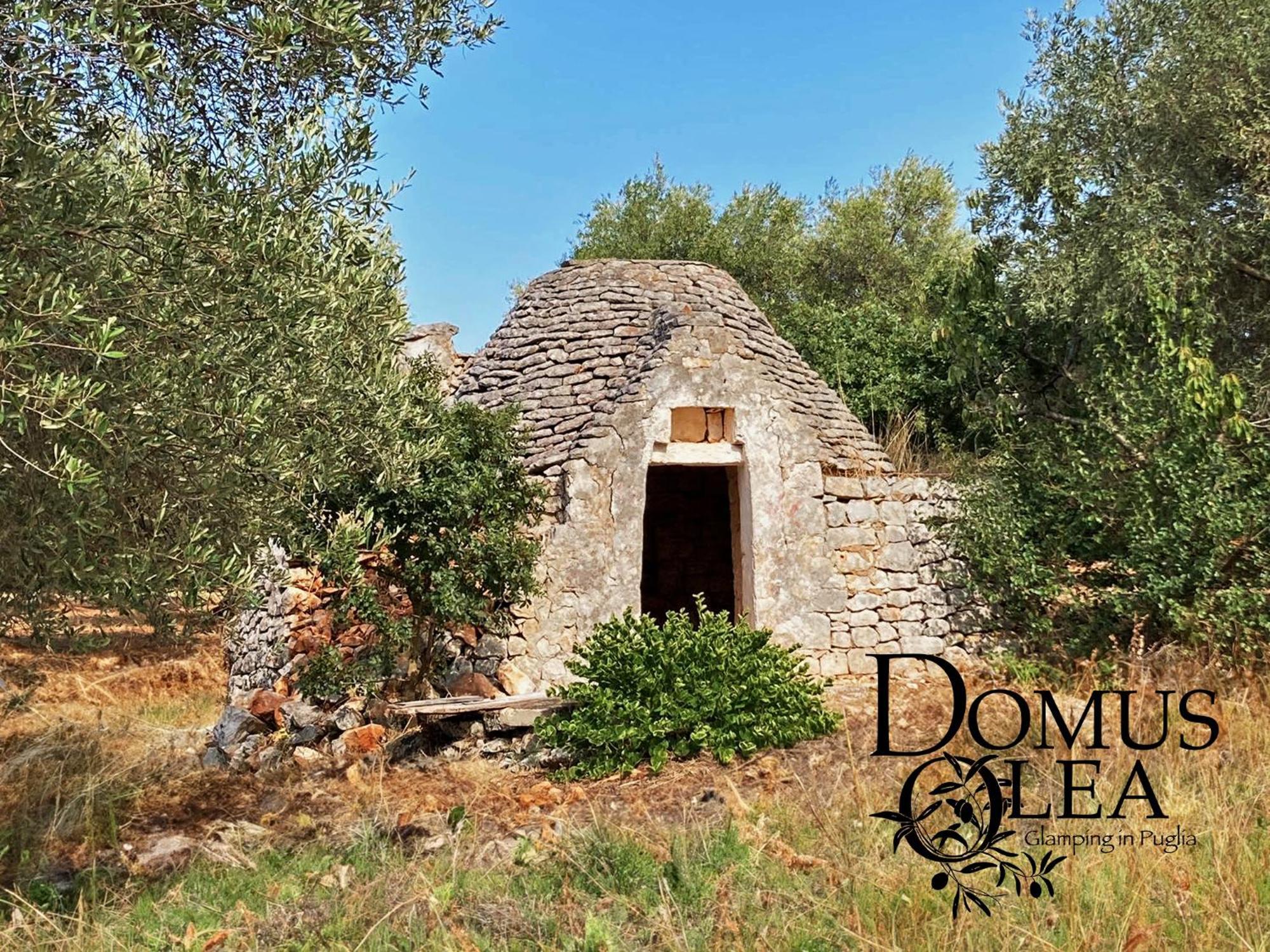 Hotel Domus Olea Glamping Ceglie Messapica Exterior foto